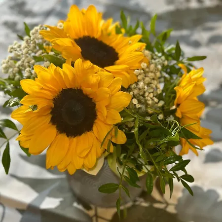 Bengiorne! Casa Ginestra *