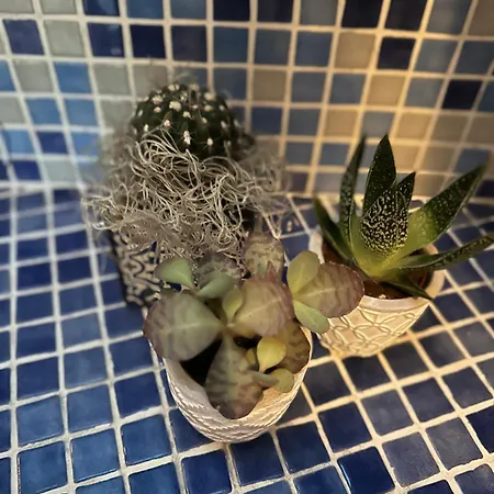 Bengiorne! Casa Ginestra Apartament Raiano