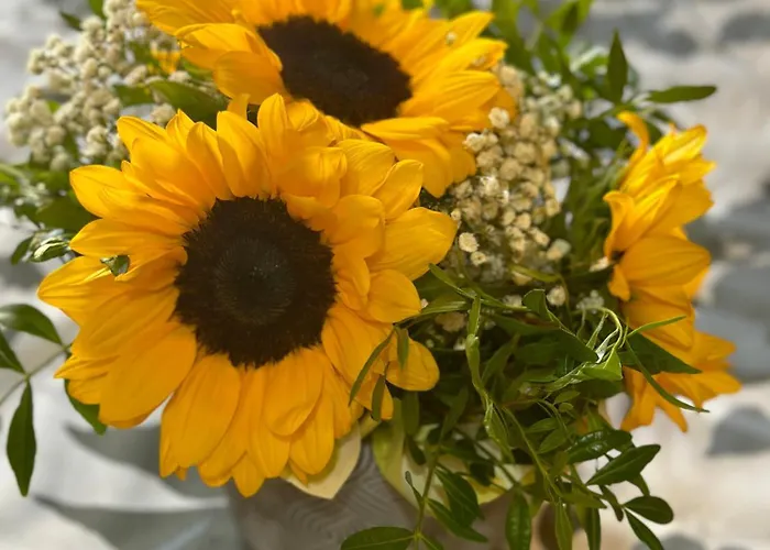 Bengiorne! Casa Ginestra *