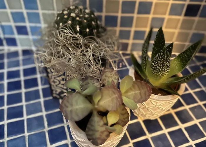 Bengiorne! Casa Ginestra Апартаменты Raiano