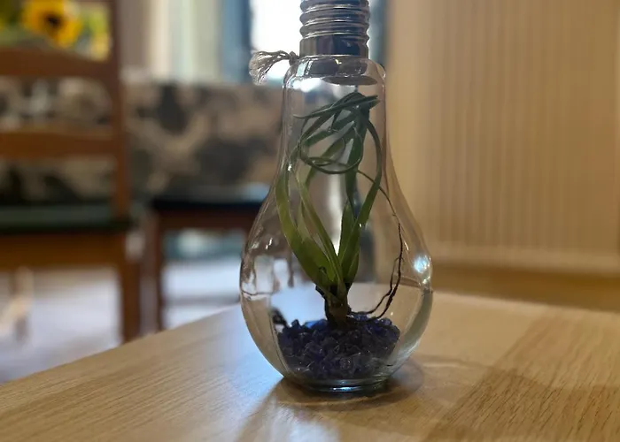 Bengiorne! Casa Ginestra